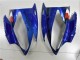 06-07 Blue Shark YZF R6 Motorcycle Fairings