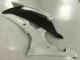 08-16 White YZF R6 Motorcycle Fairings