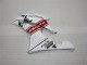 08-16 White YZF R6 Motorcycle Fairing & Bodywork